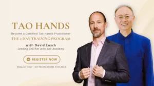 Tao Hands with David Lush